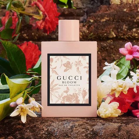 gucci bloom 50|Gucci Bloom fragrantica.